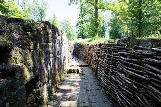 Bayernwald