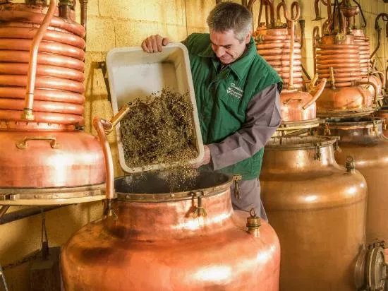 Distillerie Pages - Verveine du Velay