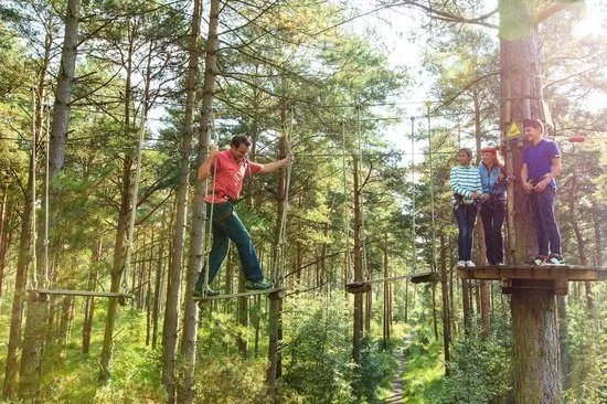 Go Ape Glentress Forest, Peebles