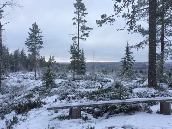 Sinivuori Hiking trail