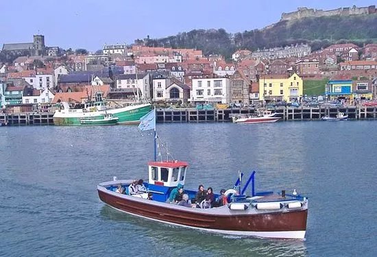 Queensferry Cruises - Wildlife Scenic Trips