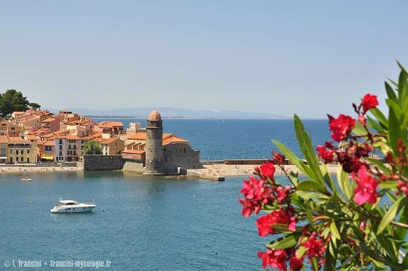 Beautiful air-conditioned apartment in historic Collioure (balcony, free WIFI).