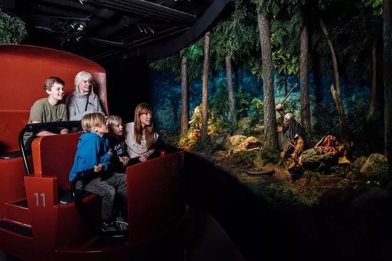 The Viking Museum