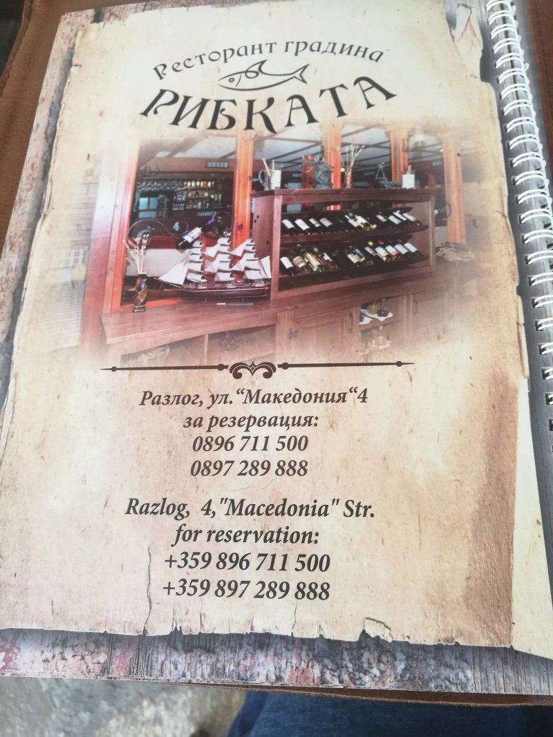 Ribkata