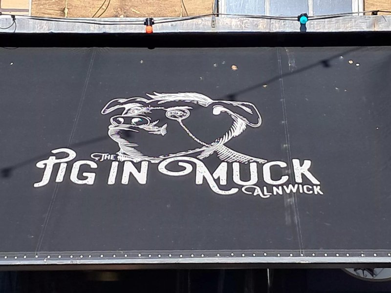 Pig In Muck