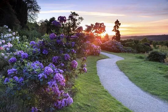 Emmetts Garden
