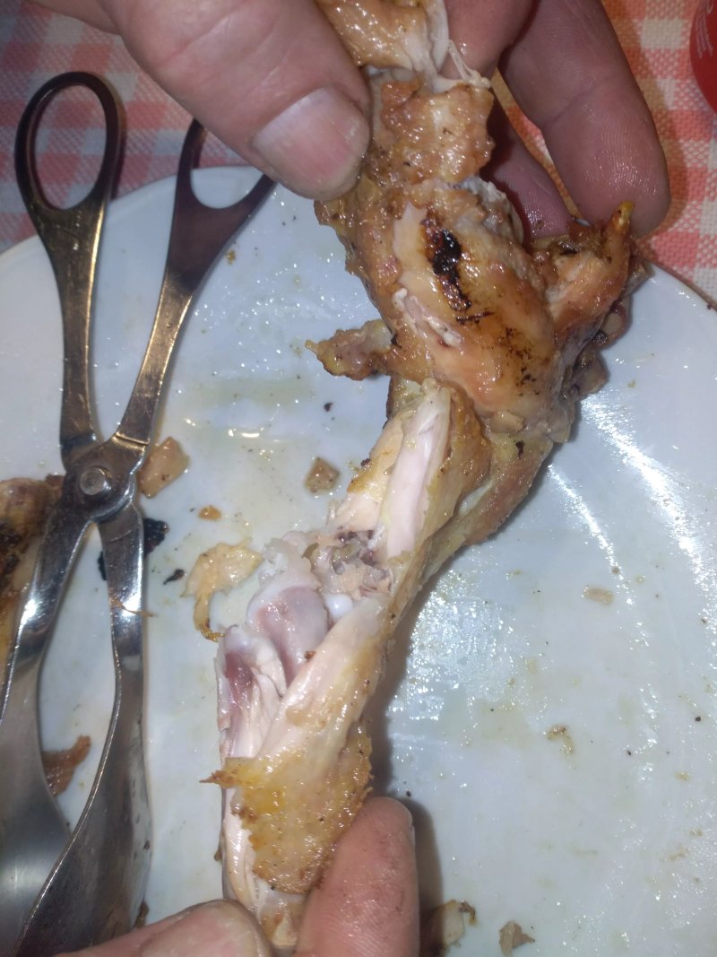 Churrascaria Galo Velho