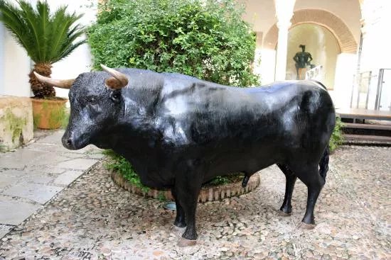 Museo Municipal de Arte Taurino