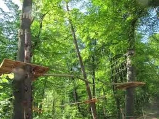 Kletterwald Speyer