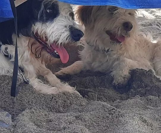 Rin Tin Beach