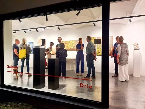 Galerie Drie