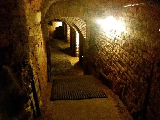 Rzeszowskie Piwnice - Private Tour