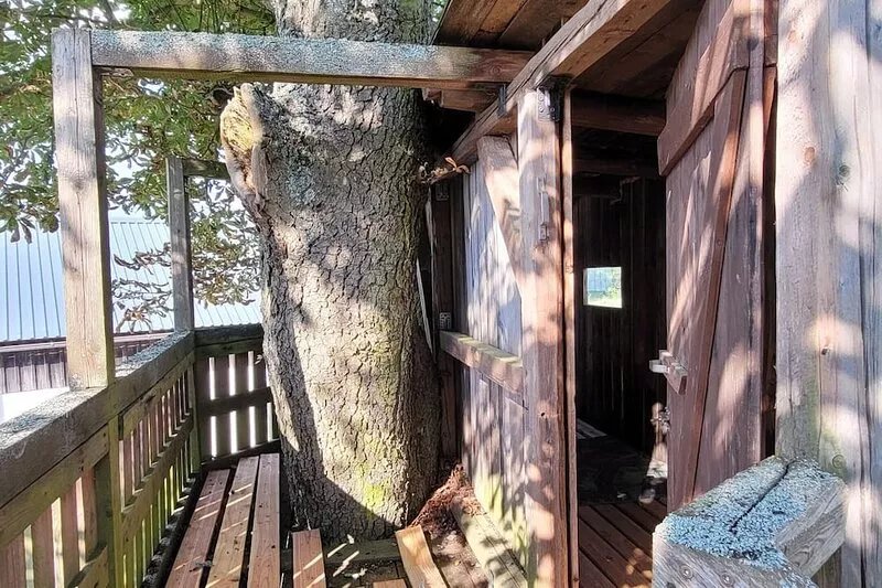 Quietly located, modern vacation apartment in the countryside - optional with
