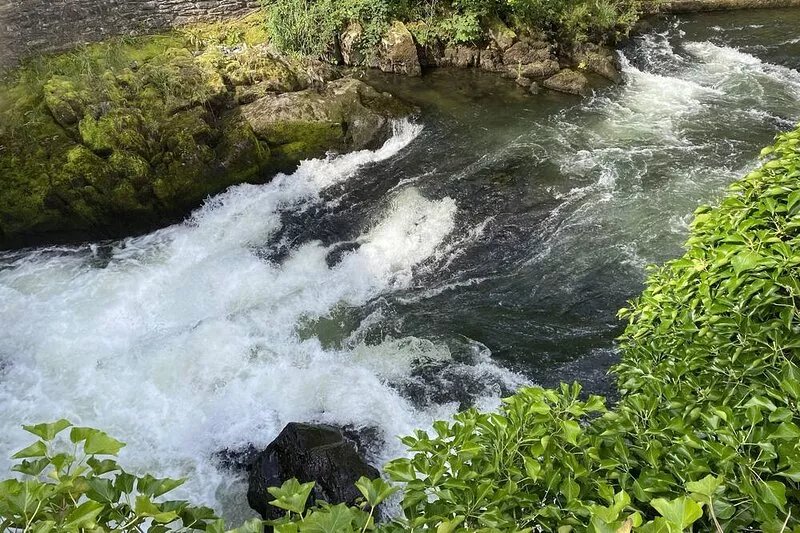 River Vista Retreat: ⭐️⭐️ ~NEW~ Luxury Apart. with Views, Parking & Bike
