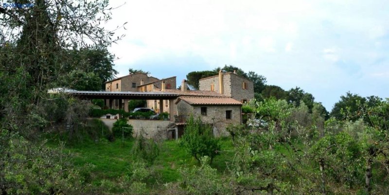 Piccozzo Agritour