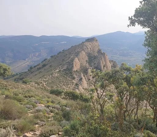 Penya Migjorn