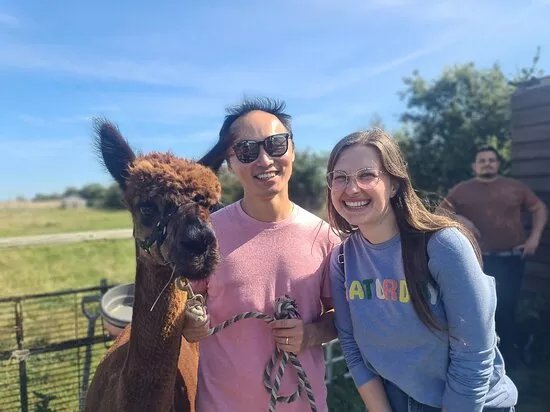 Tawnymeade Alpaca's