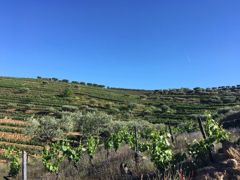 Quinta do Reconco