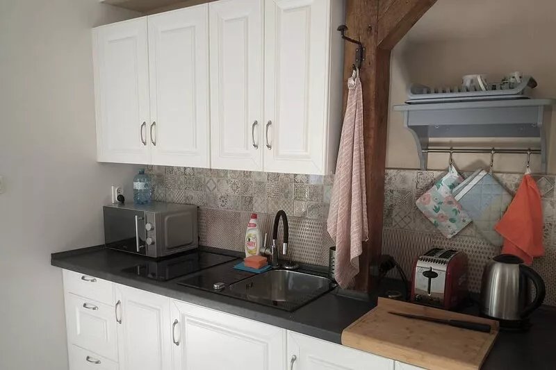 Elegant apartment in the heart of Śródka District