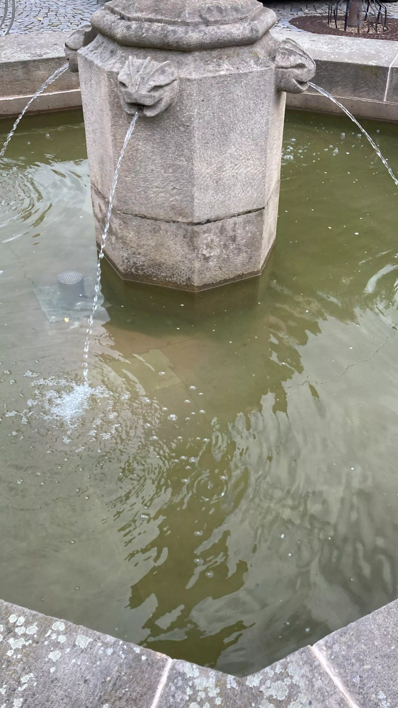 Brunnen Statue St. Florian