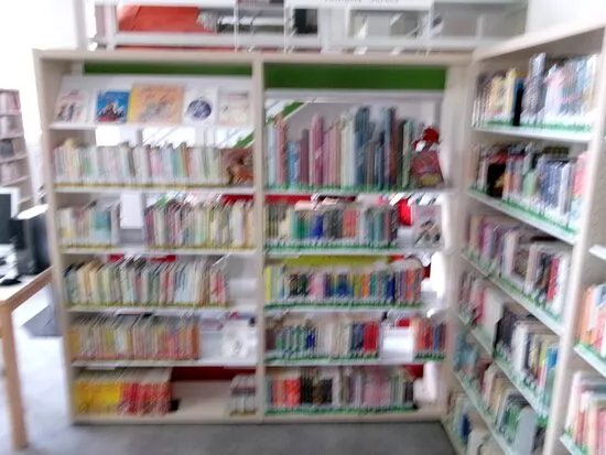 Bibliotheque Jardin de Ville