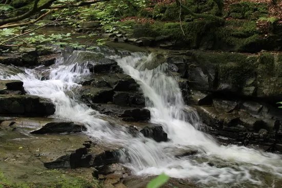 The Birks of Aberfeldy