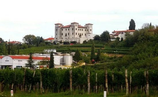 The Dobrovo Castle