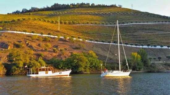 Douro a Vela