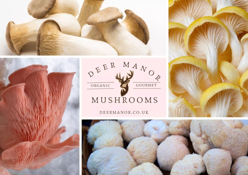 Deer Manor Gourmet Mushrooms