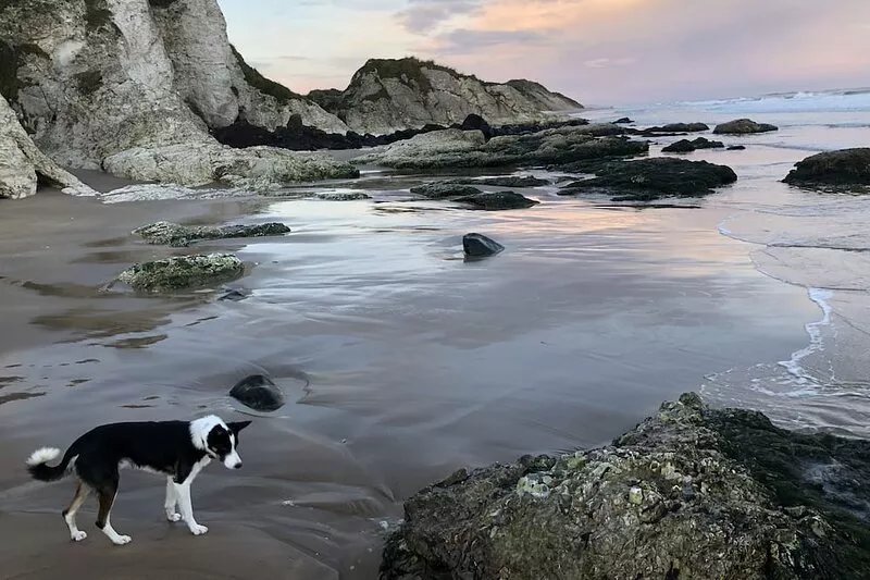 Pet friendly "Home from Home" with sea view near the Giant's Causeway