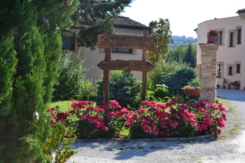 Tenuta Dei Sensi