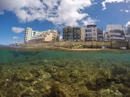 Snorkeling Experience