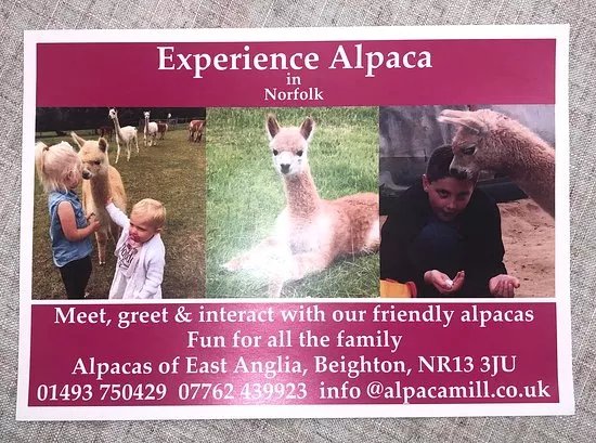 Exclusively Alpaca Mill Shop