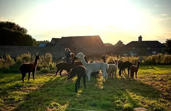 Frankly Farm Tours