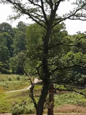 Habberley Valley Local Nature Reserve