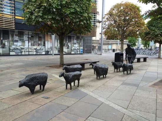 Sheep on the Road