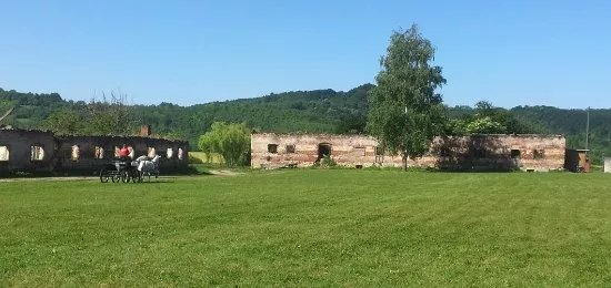 Drzava Ergela Lipik (State Stud Farm Lipik)