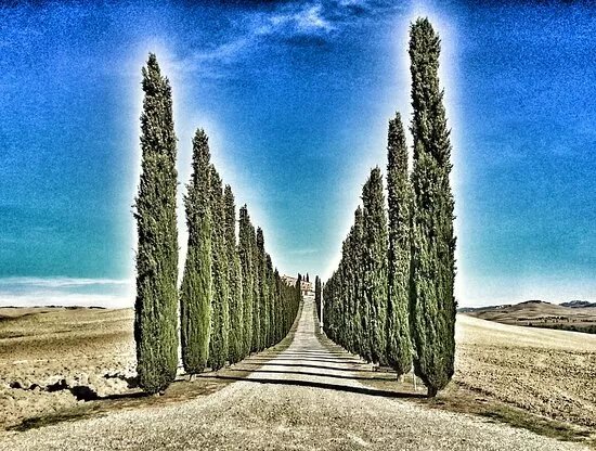 Mark Limousine Tours - Day Tours
