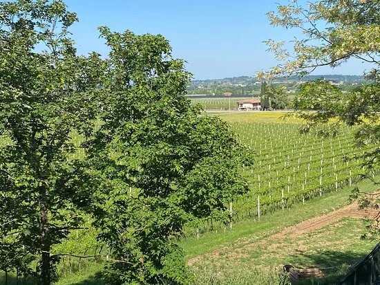 Societa Agricola La Pesenata