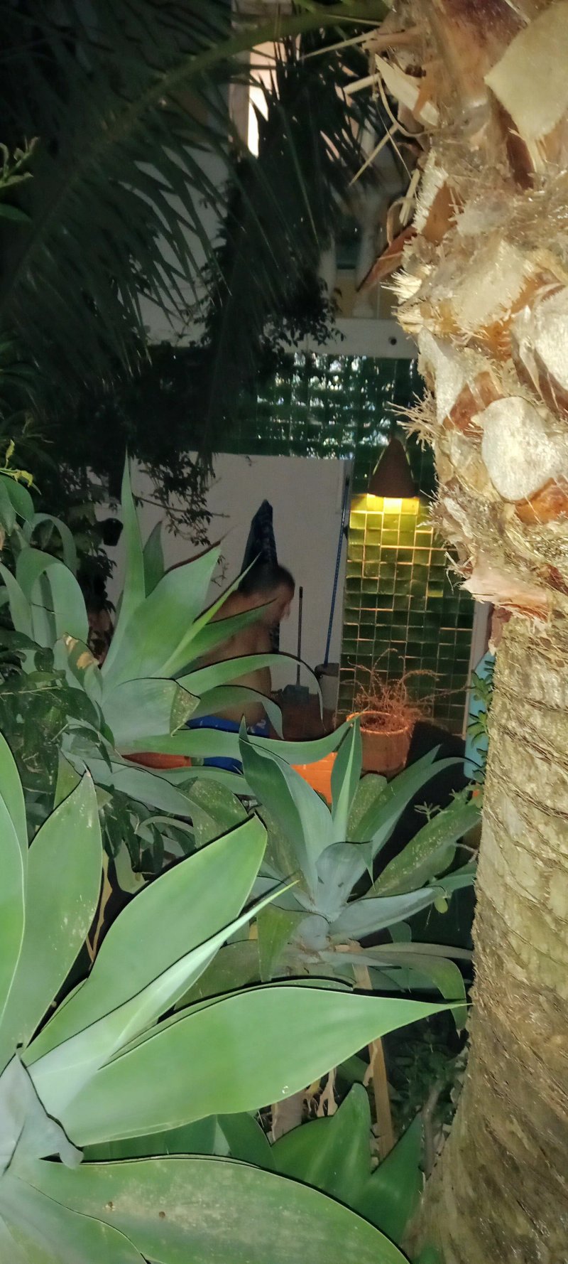 Casa Armonia