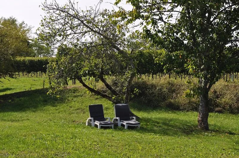 Maison Bidas - Charming,rural,2 Bedroom Gîte, sleeps 4, in vineyard surrounding