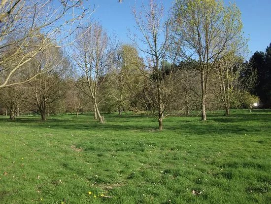 Lovell Quinta Arboretum