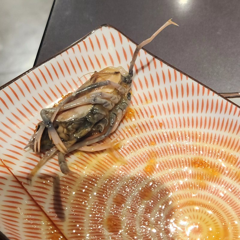 Sushi Kayi