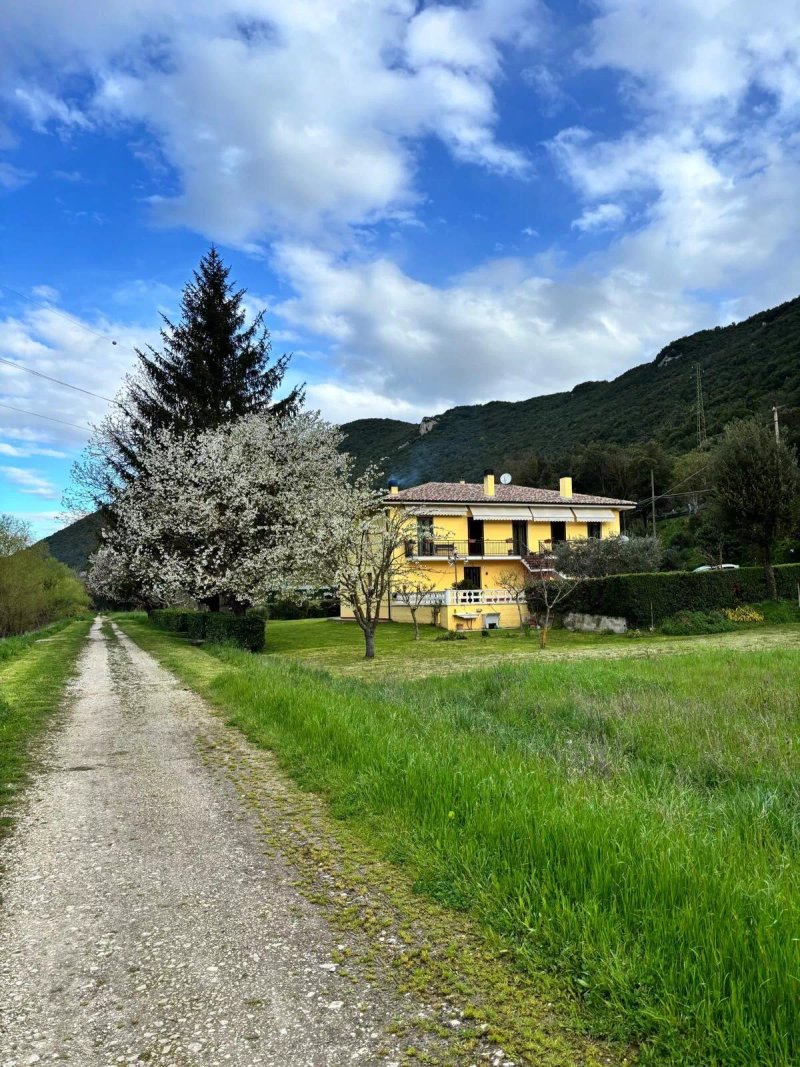La Cannucciola