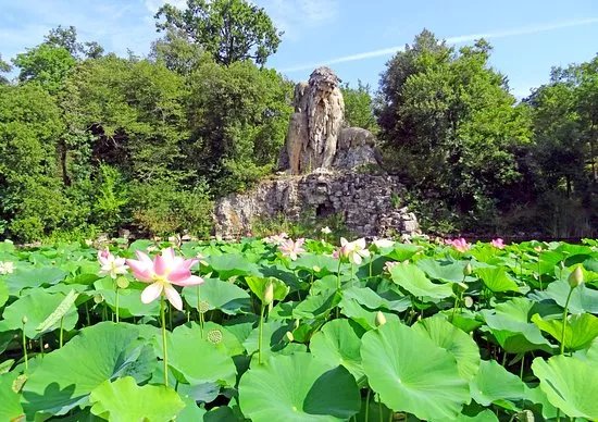 Parco Mediceo di Pratolino (Villa Demidoff)