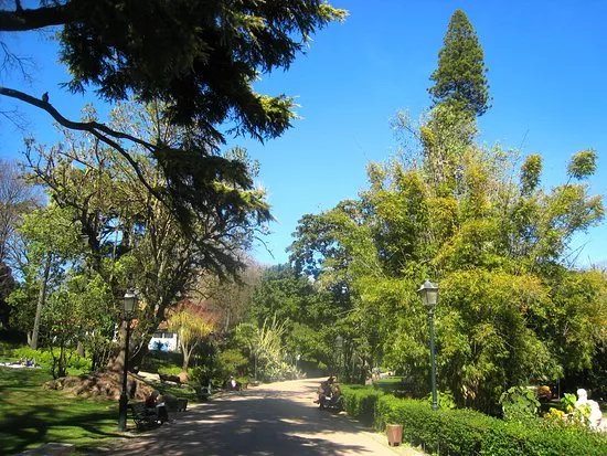 Jardim Da Estrela Park