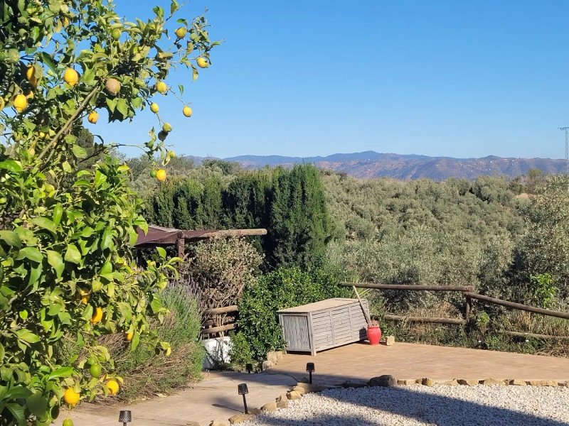 Finca Amorosa