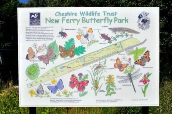Butterfly Park