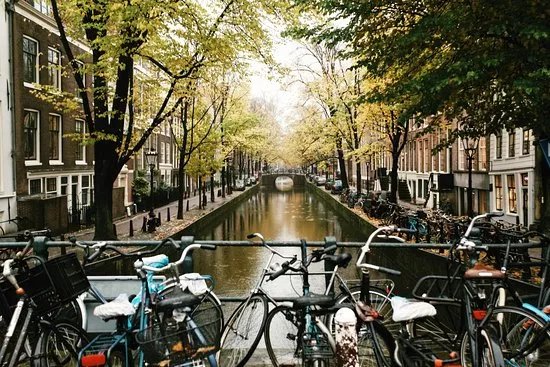 Babylon Tours Amsterdam