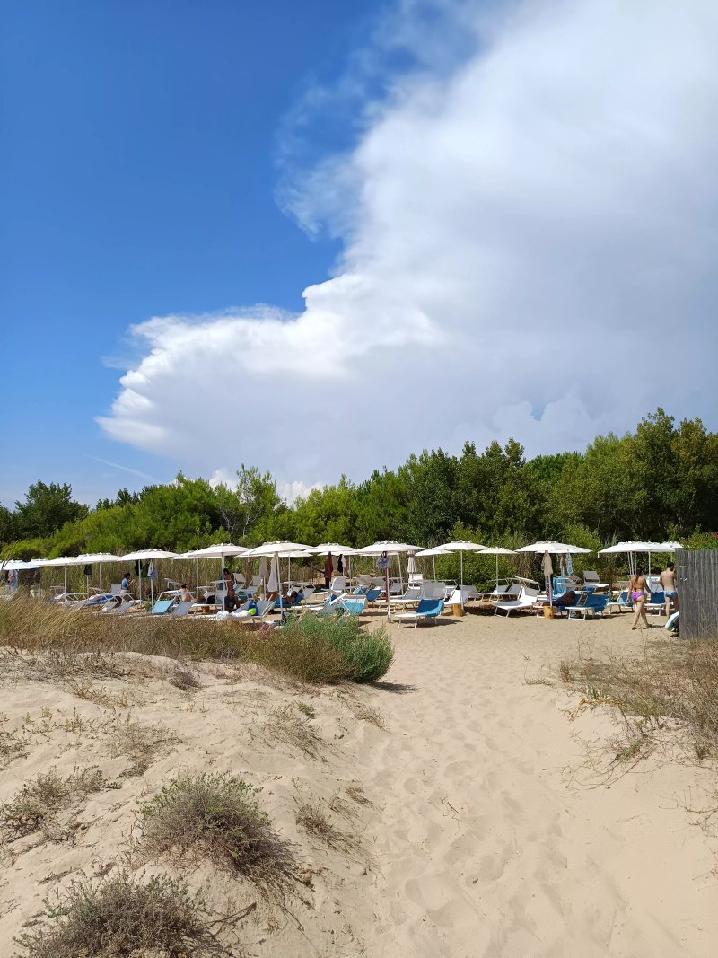 Insula beach club